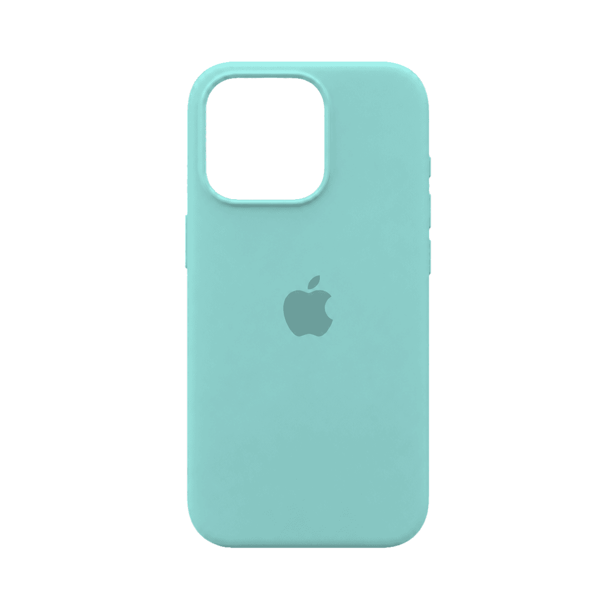 Mint Frost case